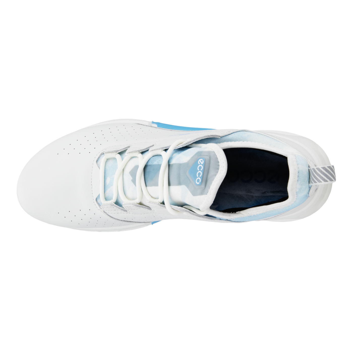 ECCO 男士高爾夫 BIOM® C4 HENRIK STENSON ICEMAN 簽名鞋