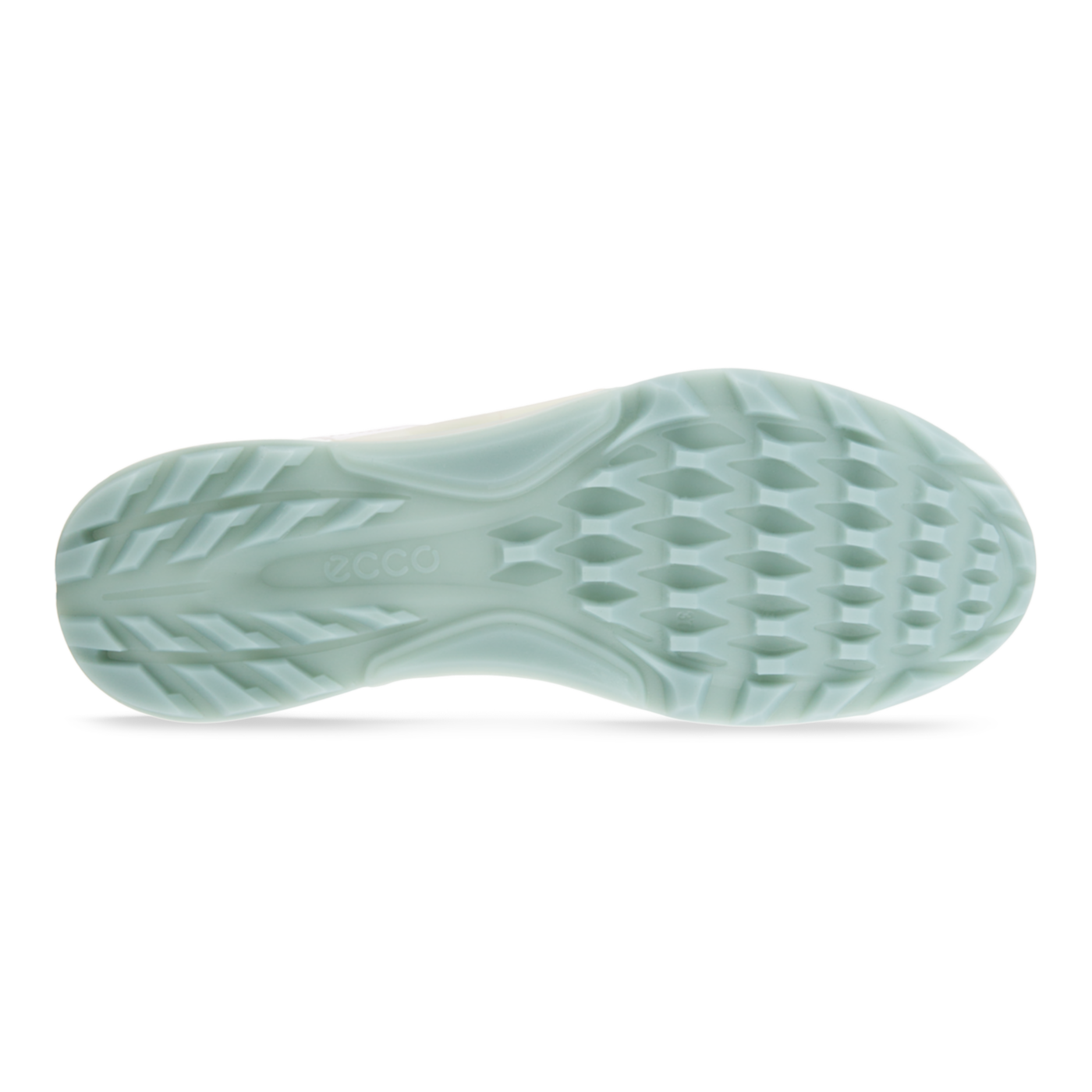 ECCO 女式高爾夫 BIOM C4 鞋(New Arrive)