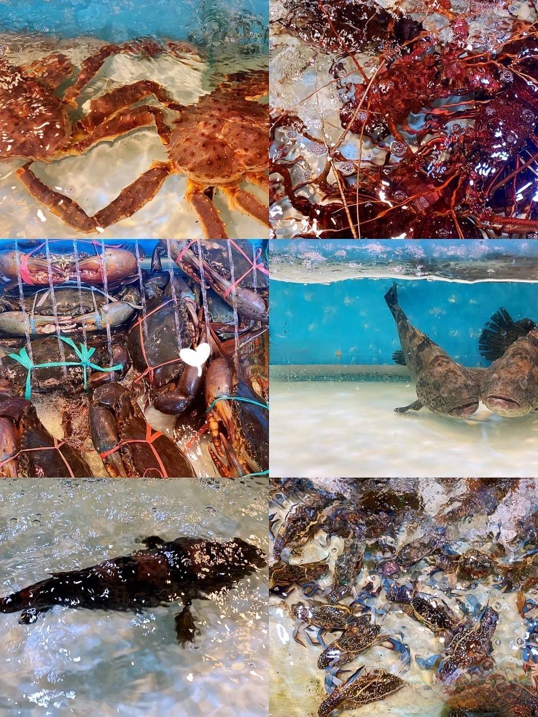 大馬新山5日3球精彩高爾夫假期