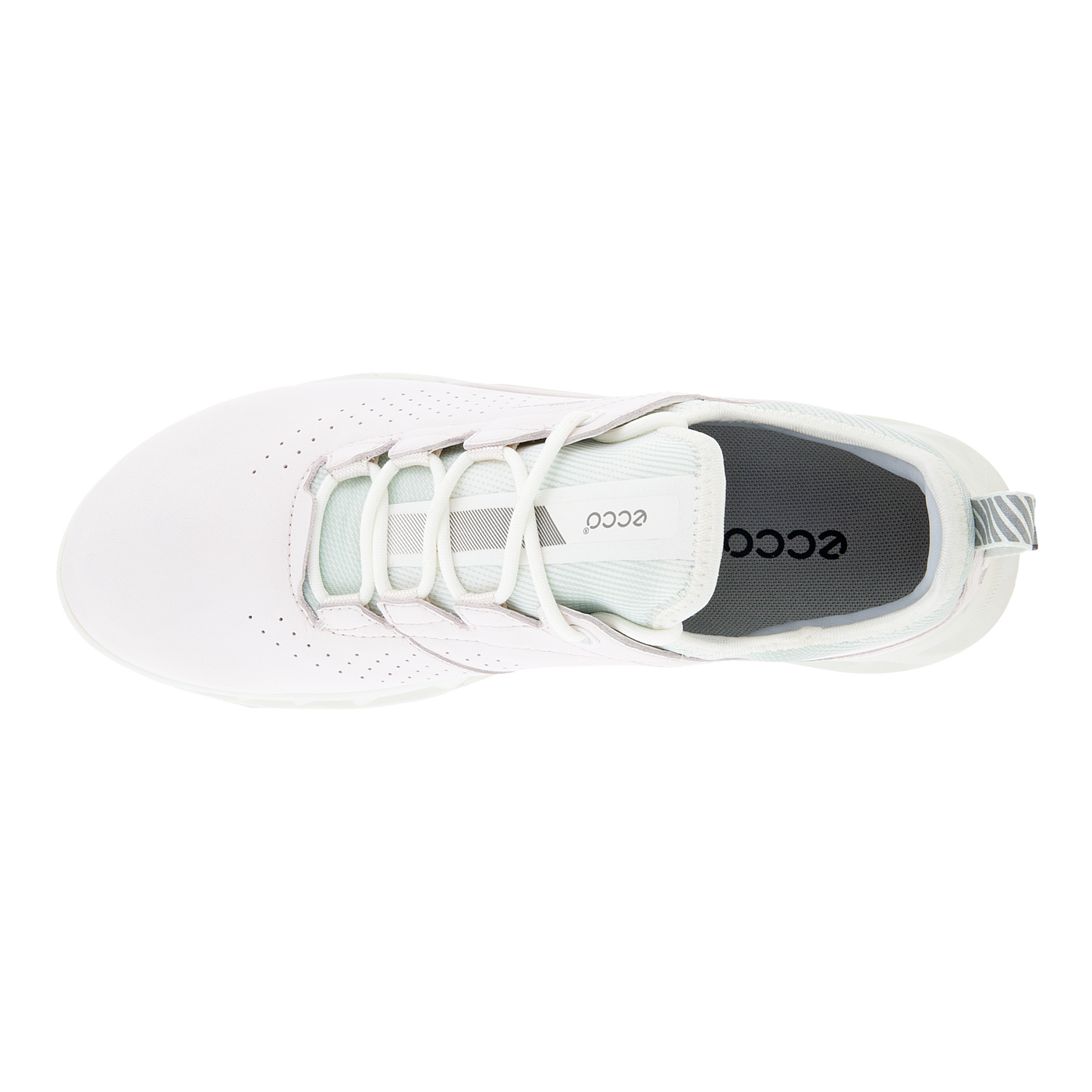 ECCO 女式高爾夫 BIOM C4 鞋(New Arrive)