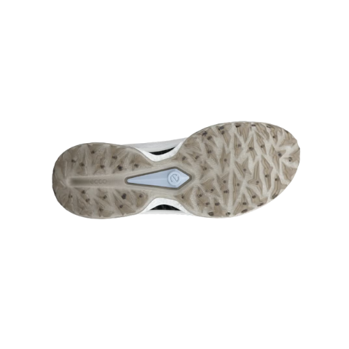 ECCO 男士高爾夫 BIOM C5 BOA （白色）