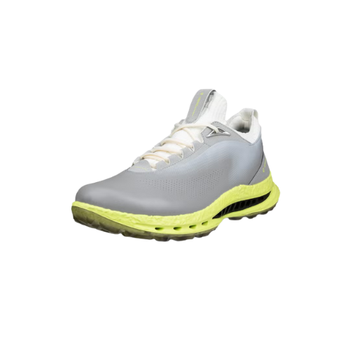 ECCO 男士高爾夫 BIOM C5 （野鴿）