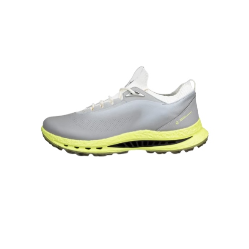 ECCO 男士高爾夫 BIOM C5 （野鴿）