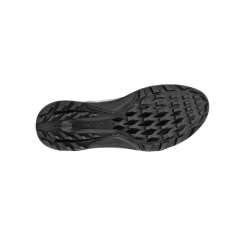 ECCO 25 男士高爾夫 BIOM C4 BOA