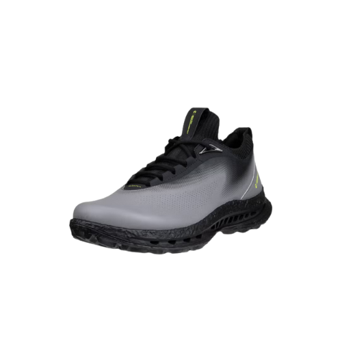 ECCO 男士高爾夫 BIOM C5 （黑色）