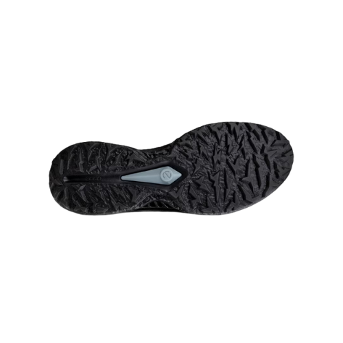 ECCO 男士高爾夫 BIOM C5 （黑色）